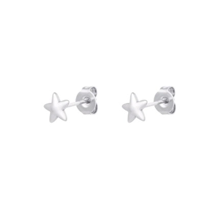 Afbeeldingen van Oorknopjes Ster Zilver Stainless Steel
