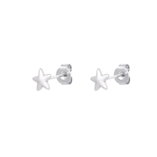 Afbeeldingen van Oorknopjes Ster Zilver Stainless Steel