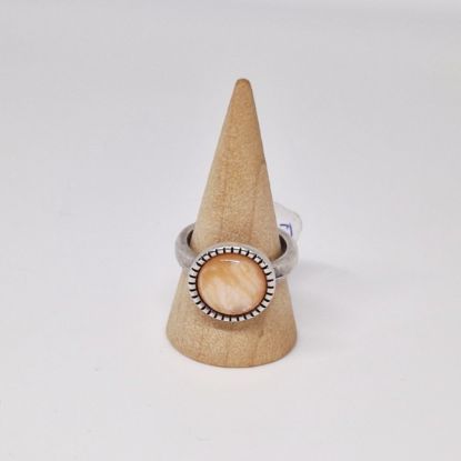 Afbeeldingen van Fenna Nude